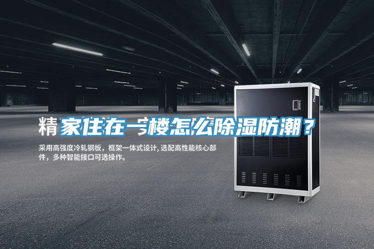亚洲人成综合第一网站 家住在一楼怎么除湿防潮？
