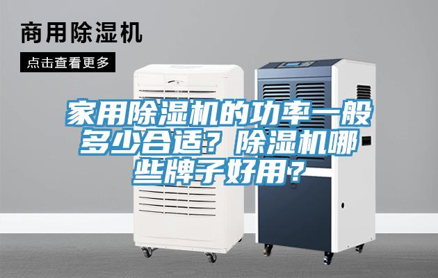 亚洲欧美一级特黄大片 家用除湿机的功率一般多少合适？除湿机哪些牌子好用？