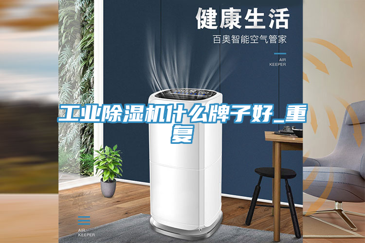 亚洲人成综合第一网站 工业除湿机什么牌子好_重复