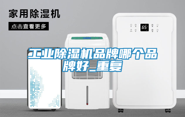 亚洲人成综合第一网站 工业除湿机品牌哪个品牌好_重复