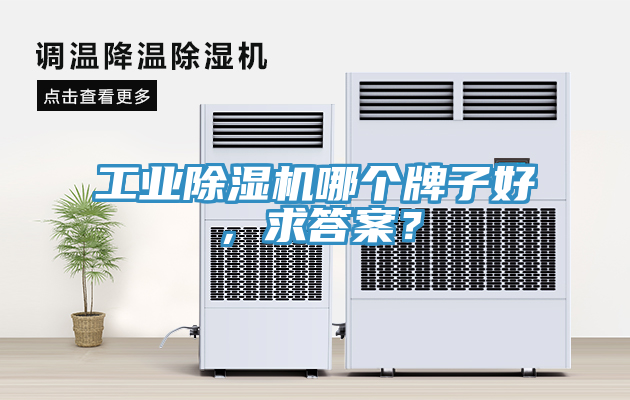 亚洲欧美一级特黄大片 工业除湿机哪个牌子好，求答案？