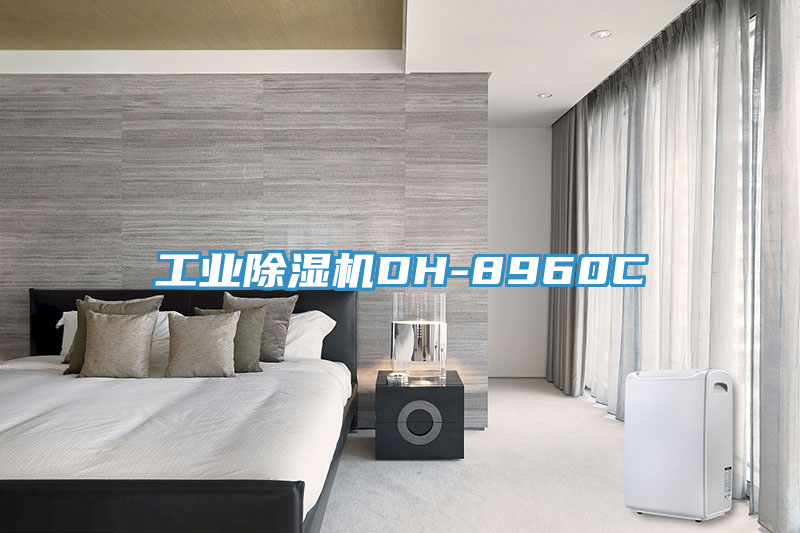 亚洲欧美一级特黄大片 工业除湿机DH-8960C