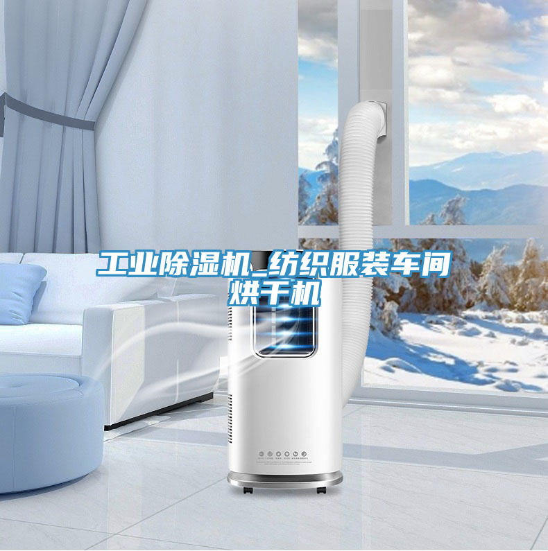 亚洲人成综合第一网站 工业除湿机_纺织服装车间烘干机