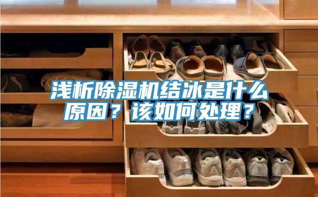 亚洲欧美一级特黄大片 浅析除湿机结冰是什么原因？该如何处理？