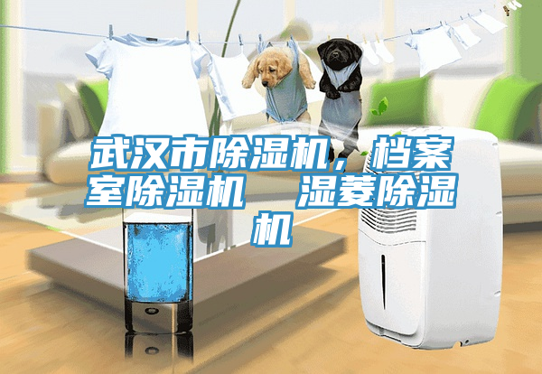 亚洲欧美一级特黄大片 武汉市除湿机，档案室除湿机  湿菱除湿机