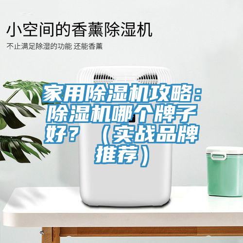 亚洲欧美一级特黄大片 家用除湿机攻略：除湿机哪个牌子好？（实战品牌推荐）