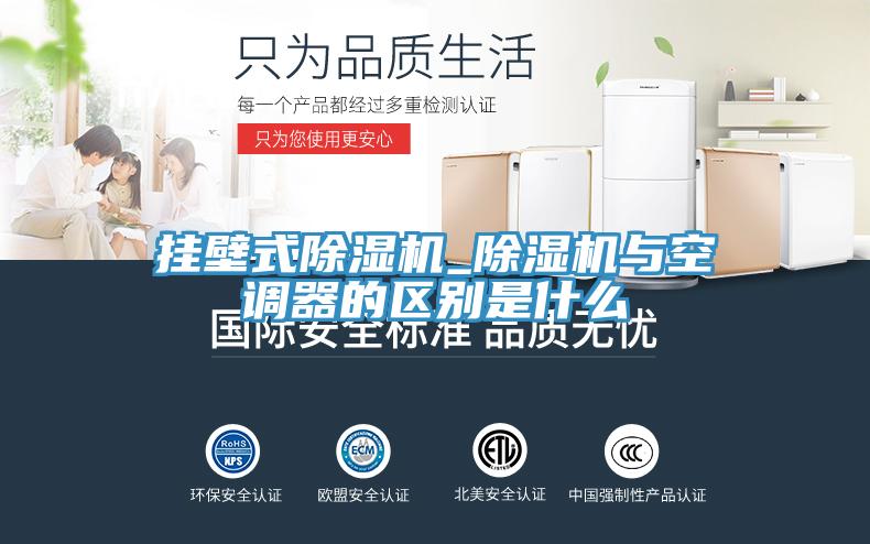 亚洲人成综合第一网站 挂壁式除湿机_除湿机与空调器的区别是什么