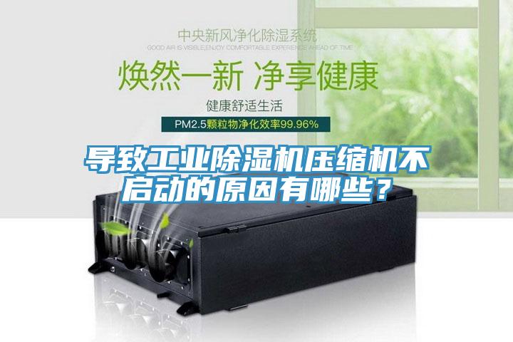 亚洲欧美一级特黄大片 导致工业除湿机压缩机不启动的原因有哪些？