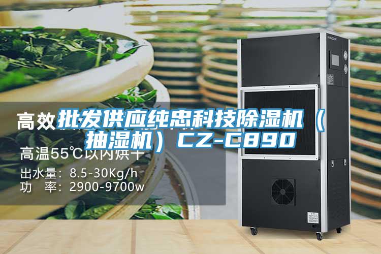 亚洲人成综合第一网站 批发供应纯忠科技除湿机（抽湿机）CZ-C890