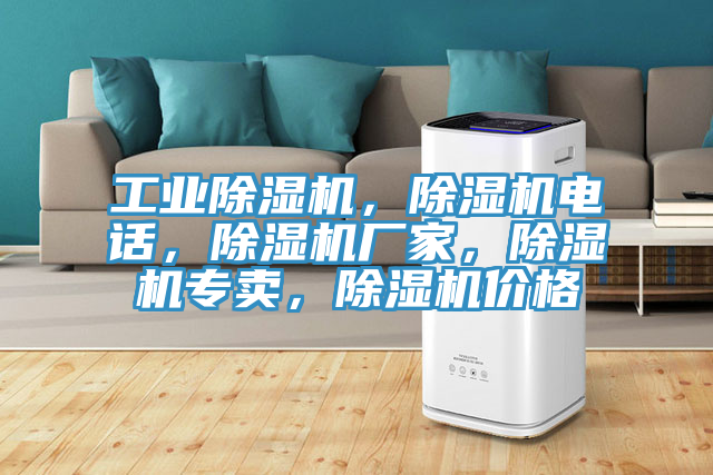 亚洲人成综合第一网站 工业除湿机，除湿机电话，除湿机厂家，除湿机专卖，除湿机价格