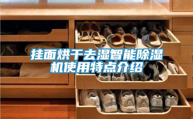 亚洲乱码一区二区三区 挂面烘干去湿智能除湿机使用特点介绍