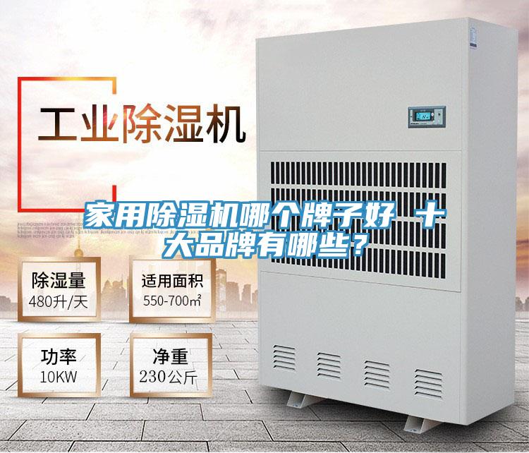 亚洲欧美一级特黄大片 家用除湿机哪个牌子好 十大品牌有哪些？