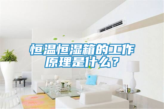 亚洲乱码一区二区三区 恒温恒湿箱的工作原理是什么？