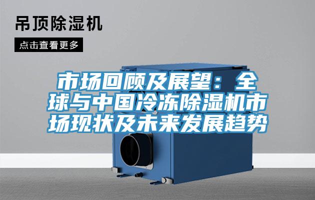 亚洲乱码一区二区三区 市场回顾及展望：全球与中国冷冻除湿机市场现状及未来发展趋势