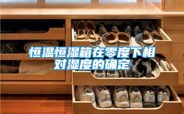 亚洲人成综合第一网站 恒温恒湿箱在零度下相对湿度的确定