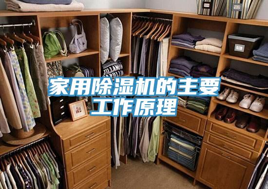 亚洲人成综合第一网站 家用除湿机的主要工作原理