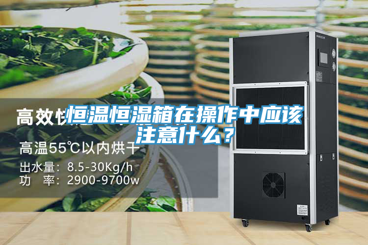 亚洲人成综合第一网站 恒温恒湿箱在操作中应该注意什么？