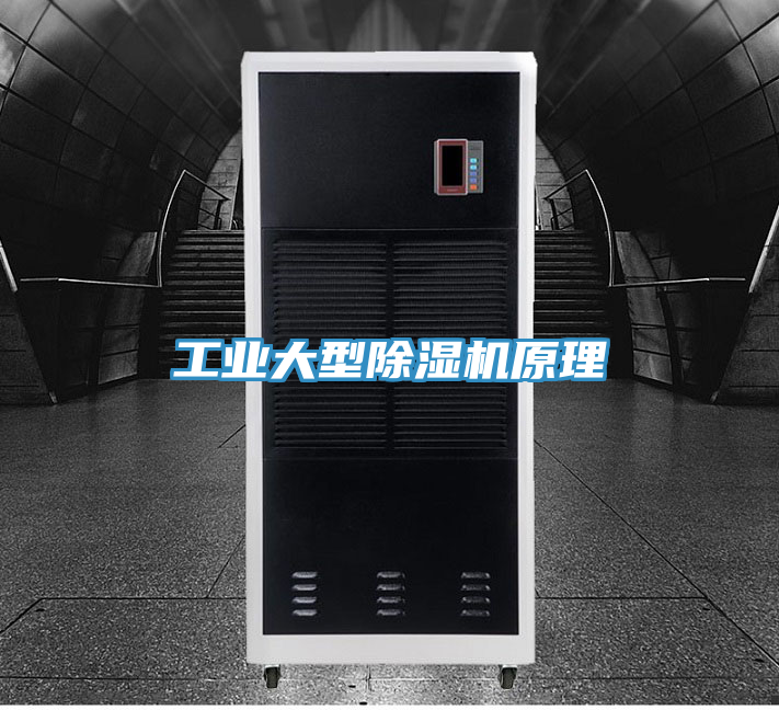 亚洲欧美一级特黄大片 工业大型除湿机原理