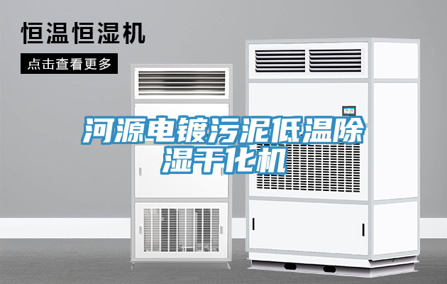 亚洲欧美一级特黄大片 河源电镀污泥低温除湿干化机