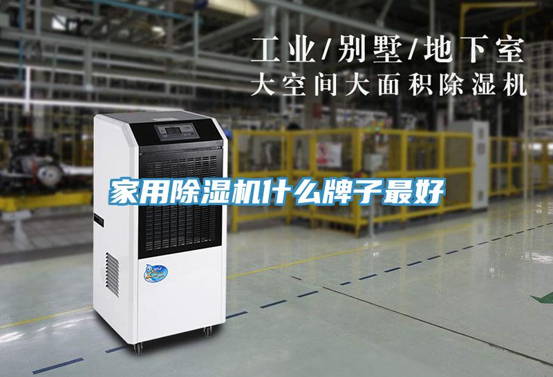 亚洲欧美一级特黄大片 家用除湿机什么牌子最好