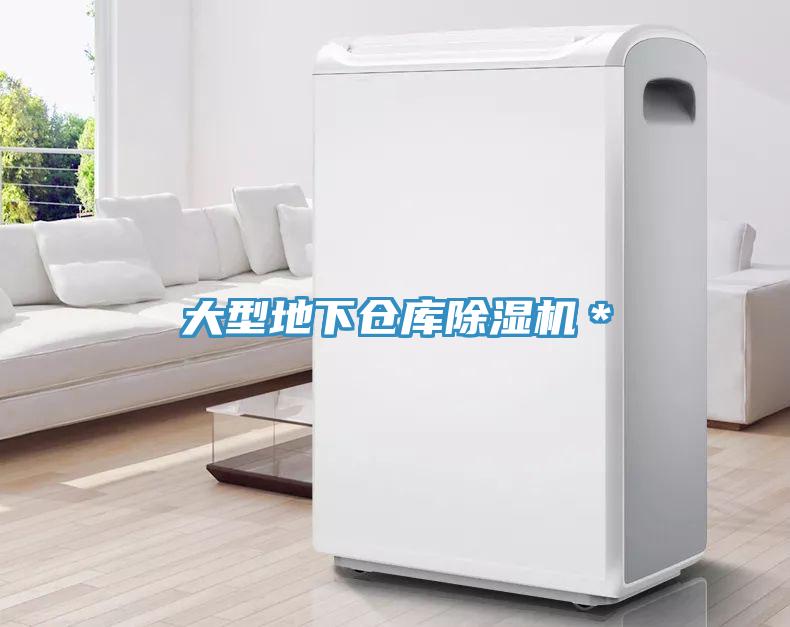 亚洲乱码一区二区三区 大型地下仓库除湿机＊