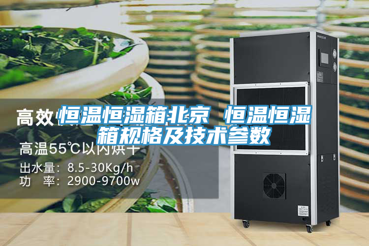 亚洲人成综合第一网站 恒温恒湿箱北京 恒温恒湿箱规格及技术参数