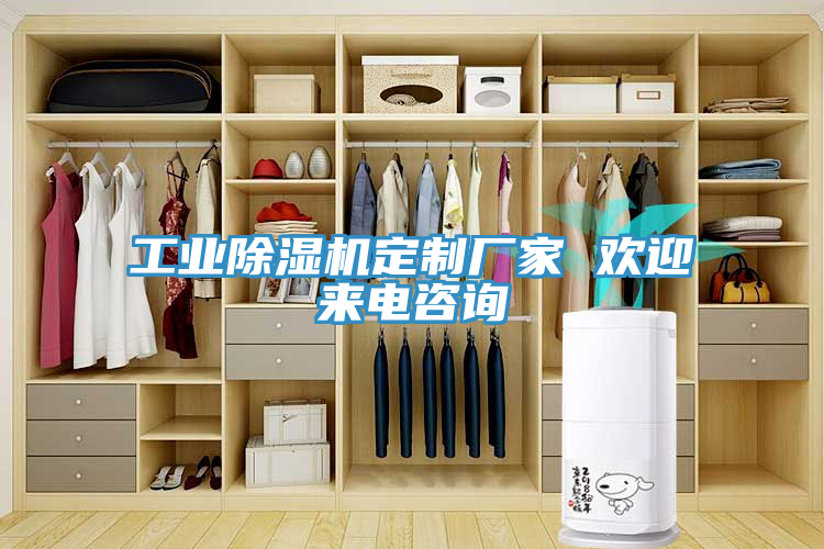亚洲人成综合第一网站 工业除湿机定制厂家 欢迎来电咨询
