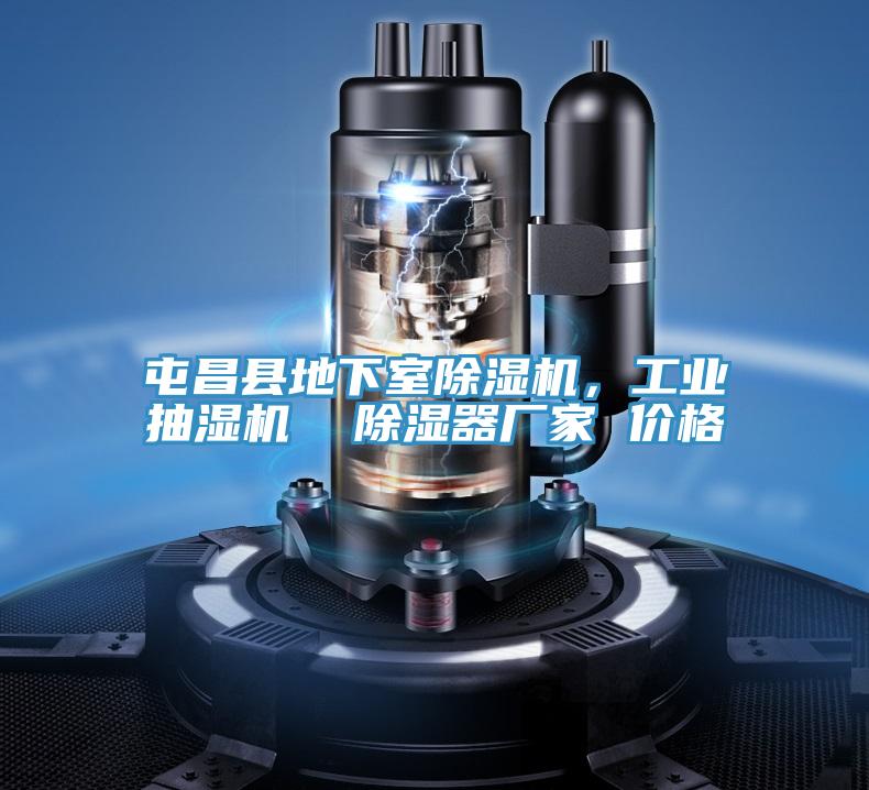 亚洲人成综合第一网站 屯昌县地下室除湿机，工业抽湿机  除湿器厂家 价格