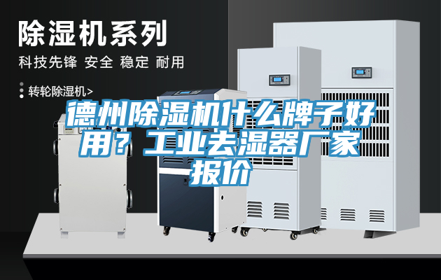 亚洲欧美一级特黄大片 德州除湿机什么牌子好用？工业去湿器厂家报价
