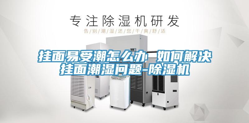 亚洲人成综合第一网站 挂面易受潮怎么办 如何解决挂面潮湿问题-除湿机
