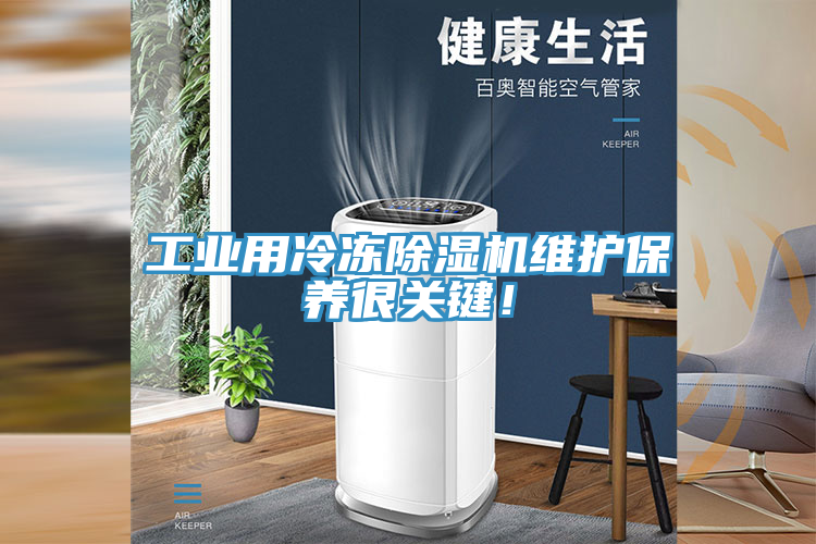 亚洲乱码一区二区三区 工业用冷冻除湿机维护保养很关键！