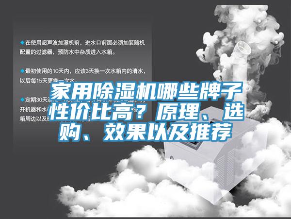亚洲人成综合第一网站 家用除湿机哪些牌子性价比高？原理、选购、效果以及推荐
