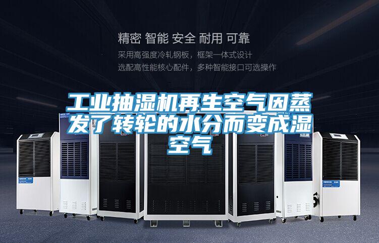 亚洲欧美一级特黄大片 工业抽湿机再生空气因蒸发了转轮的水分而变成湿空气
