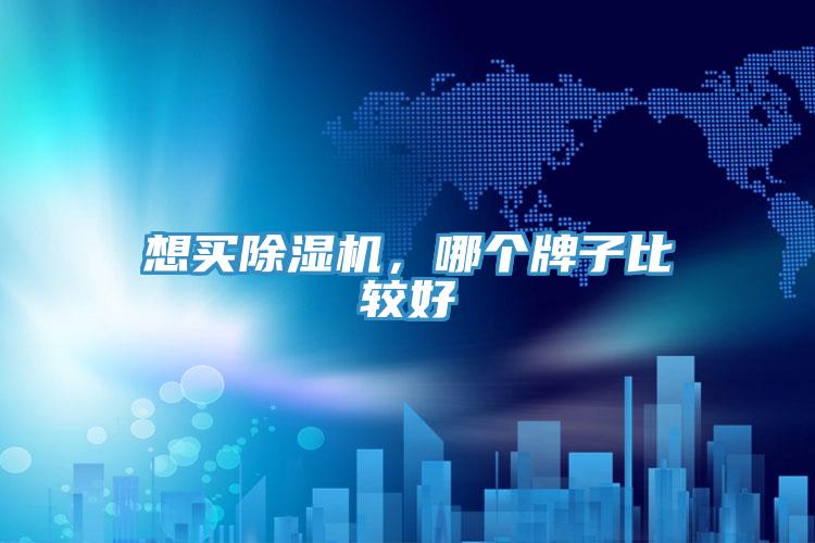 亚洲乱码一区二区三区 想买除湿机，哪个牌子比较好