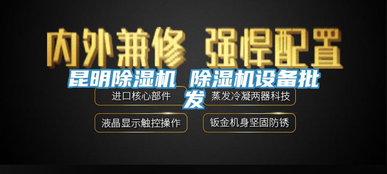 亚洲欧美一级特黄大片 昆明除湿机 除湿机设备批发