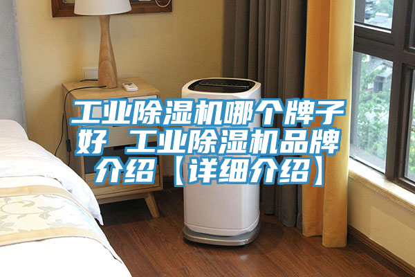 亚洲欧美一级特黄大片 工业除湿机哪个牌子好 工业除湿机品牌介绍【详细介绍】