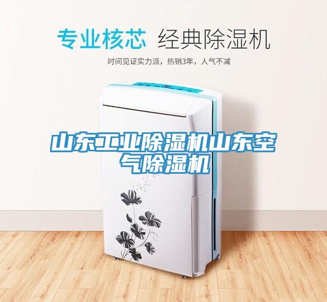 亚洲欧美一级特黄大片 山东工业除湿机山东空气除湿机