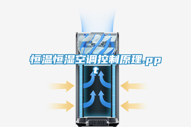 亚洲人成综合第一网站 恒温恒湿空调控制原理.ppt