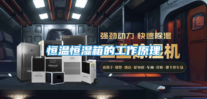 亚洲乱码一区二区三区 恒温恒湿箱的工作原理