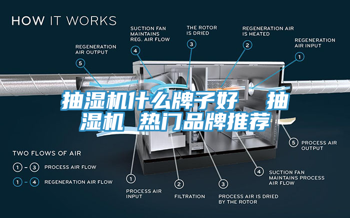 亚洲欧美一级特黄大片 抽湿机什么牌子好  抽湿机 热门品牌推荐