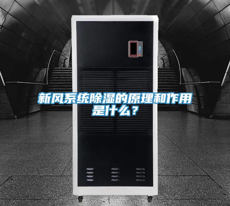 亚洲人成综合第一网站 新风系统除湿的原理和作用是什么？