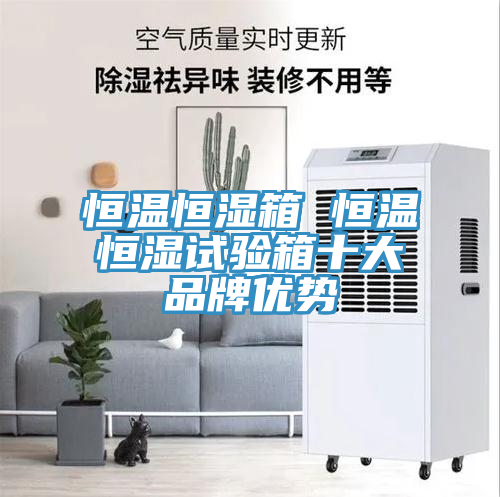 亚洲欧美一级特黄大片 恒温恒湿箱 恒温恒湿试验箱十大品牌优势