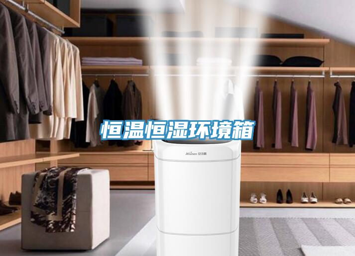亚洲欧美一级特黄大片 恒温恒湿环境箱