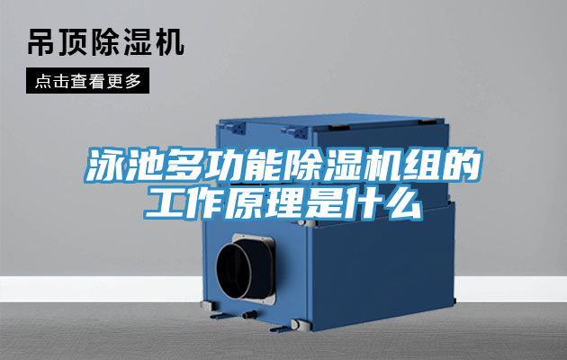 亚洲乱码一区二区三区 泳池多功能除湿机组的工作原理是什么