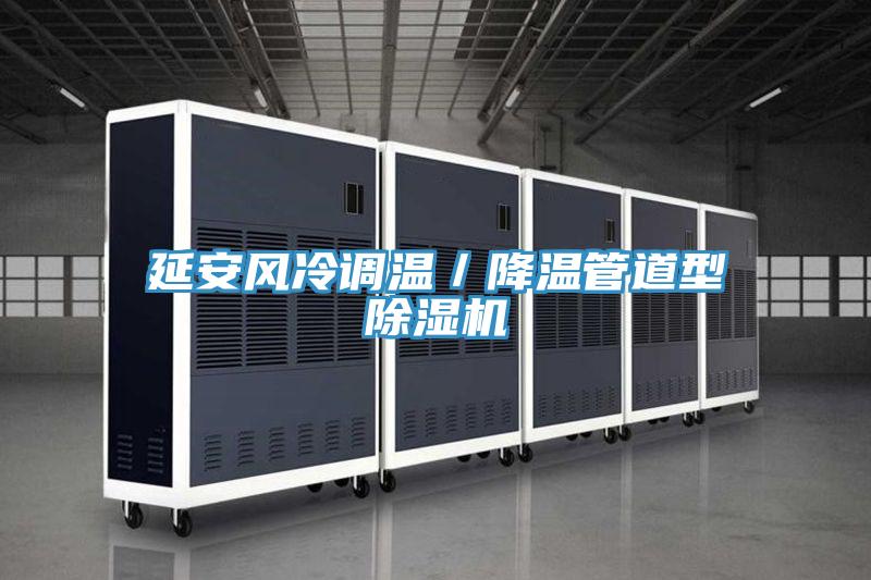 亚洲乱码一区二区三区 延安风冷调温／降温管道型除湿机