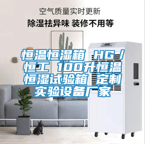恒温恒湿箱 HG／恒工 100升恒温恒湿试验箱 定制实验设备厂家