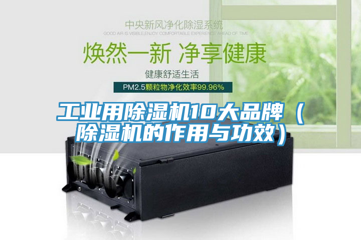 亚洲欧美一级特黄大片 工业用除湿机10大品牌（除湿机的作用与功效）