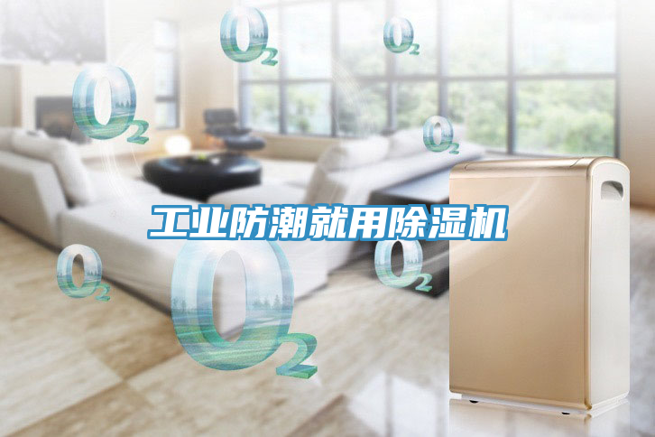 亚洲人成综合第一网站 工业防潮就用除湿机