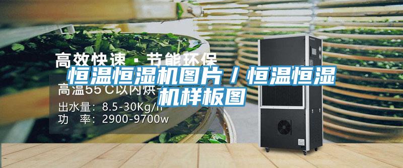 亚洲欧美一级特黄大片 恒温恒湿机图片／恒温恒湿机样板图