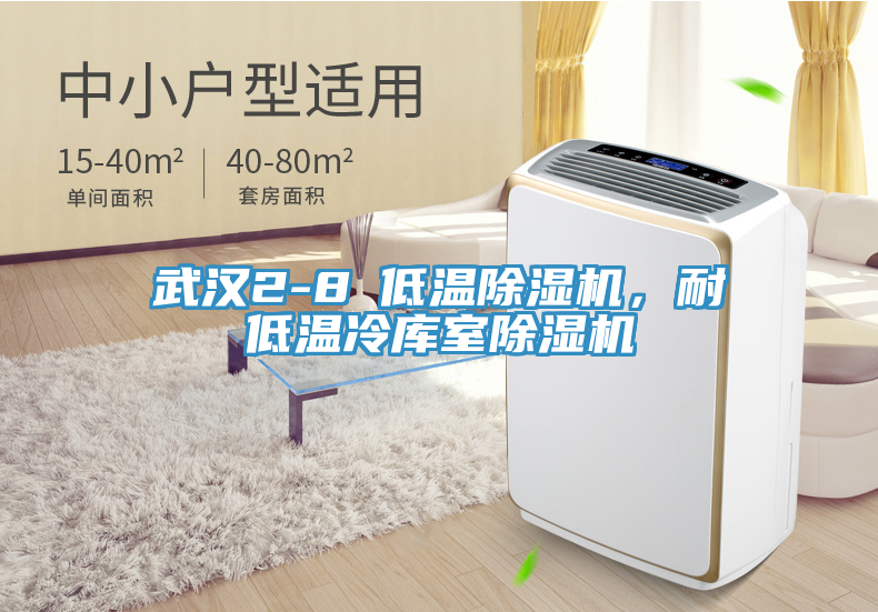 亚洲人成综合第一网站 武汉2-8℃低温除湿机，耐低温冷库室除湿机